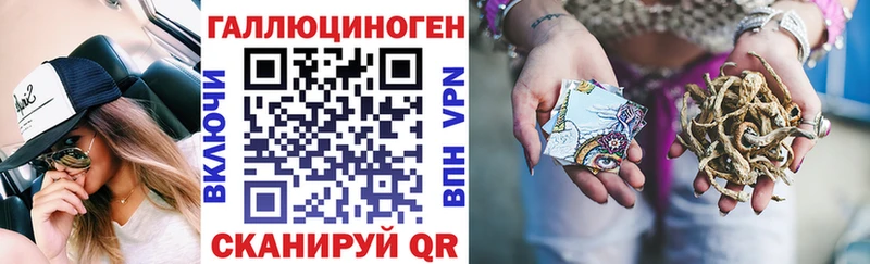 Псилоцибиновые грибы Psilocybe  Волосово 