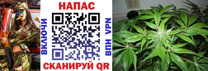 Марихуана ГИДРОПОН  Волосово 